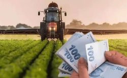 Tarım yapmak isteyenlere hibe müjdesi